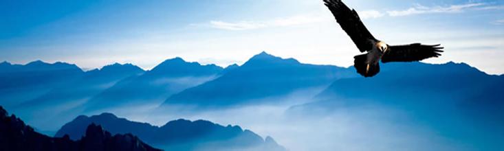 誠信覆膜設備廠家